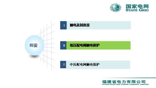 配電網(wǎng)觸電保護技術(shù)與服務(wù)——會議報告