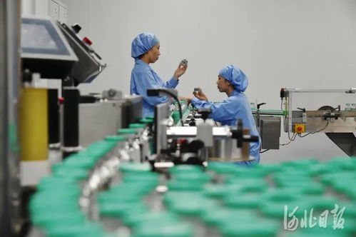 創(chuàng)新之路 技術(shù)開(kāi)發(fā)的靈魂與引擎