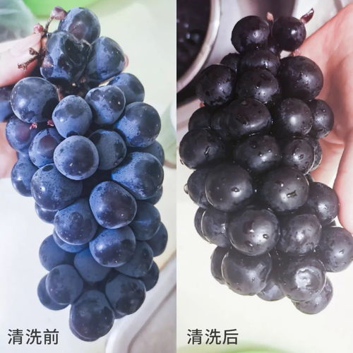 非常時期不要慌，做好這7道防護——非離子表面活性劑的安全應用指南